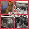 ayoojessie21